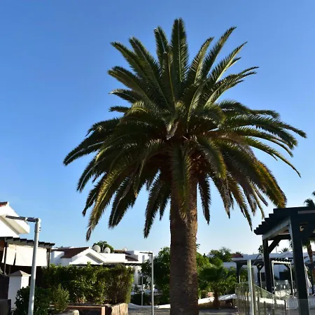 Maspalomas Lago Industrial Style Appartamento